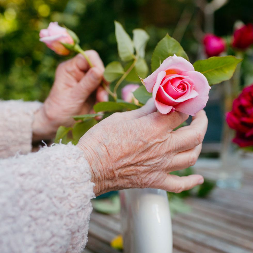 Startseite Wohnpark Großpösna